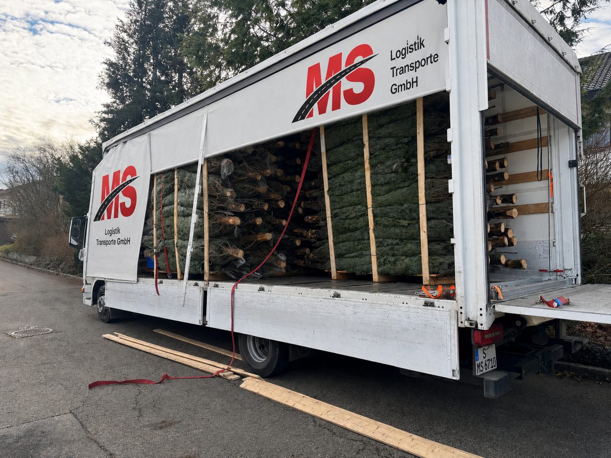 Seitlich beladener LKW der MS Logistik Transporte GmbH mit sperriger Ladung